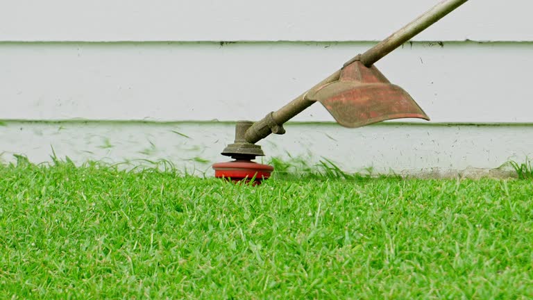 Lawn Drainage Solutions in Fort Bliss, TX